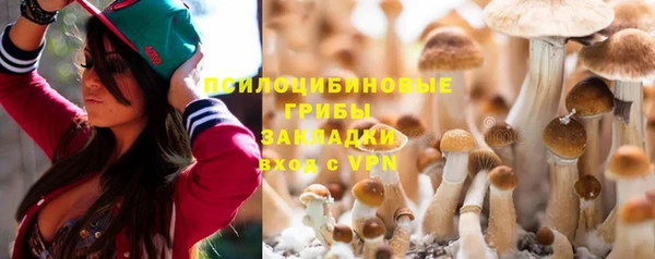 гидропоника Алексин