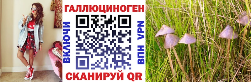 гидра как войти  Чебоксары  Псилоцибиновые грибы Magic Shrooms 